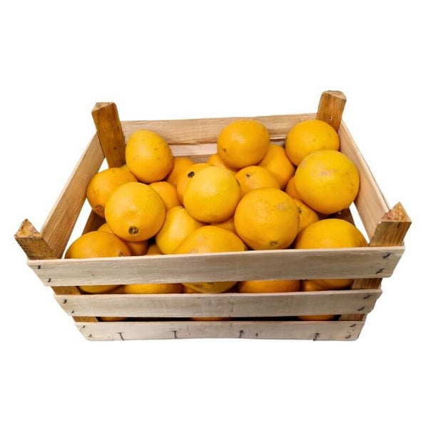 Fruits Et Légumes -- Orange navel bio Vrac (origine Italie) - 10 kg